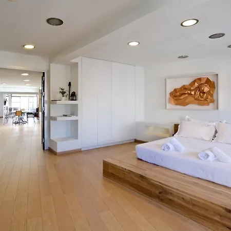 Hidesign Art Loft Penthouse Acropolis View Appartement