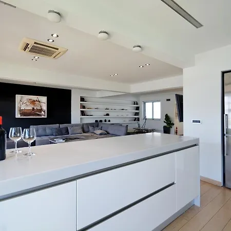 Hidesign Art Loft Penthouse Acropolis View אתונה
